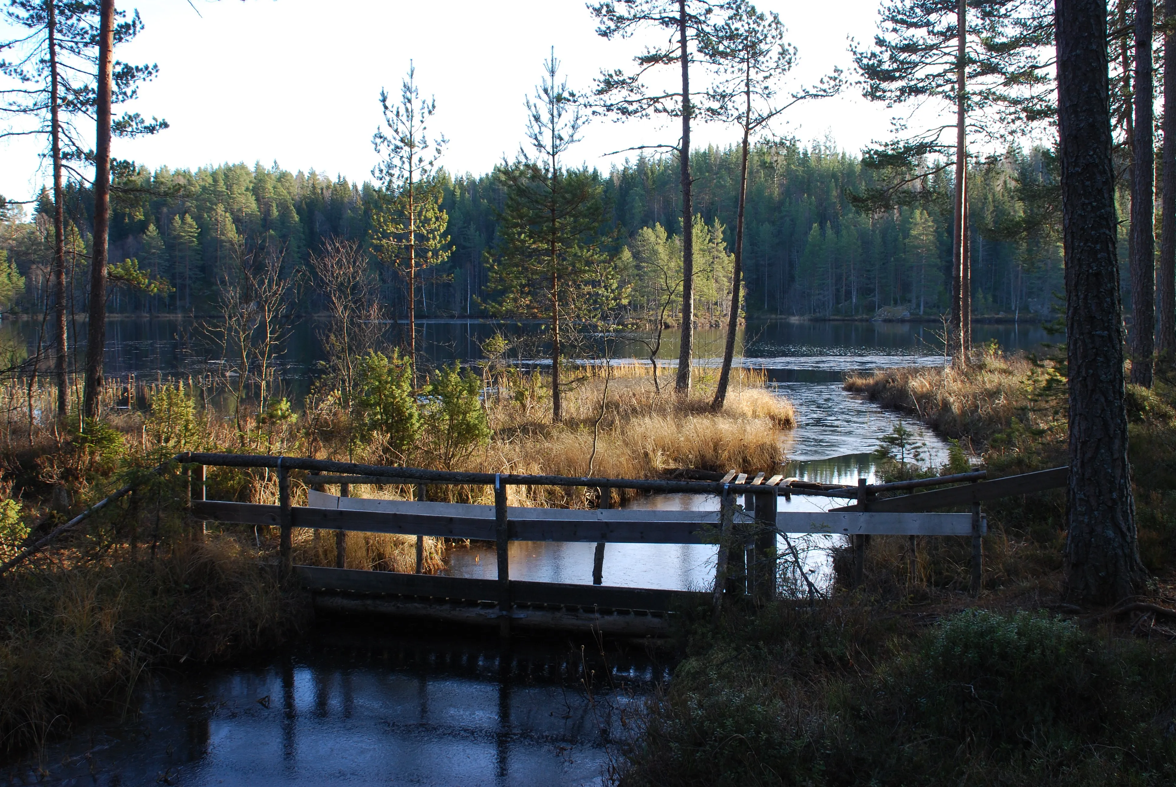 &Oslash;stre Buttentjern